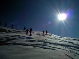 081124_A_siamo in 39.JPG